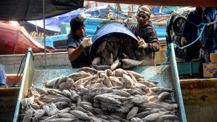 Impor Perikanan Menurun, KKP: Stok Ikan Lokal Melimpah!